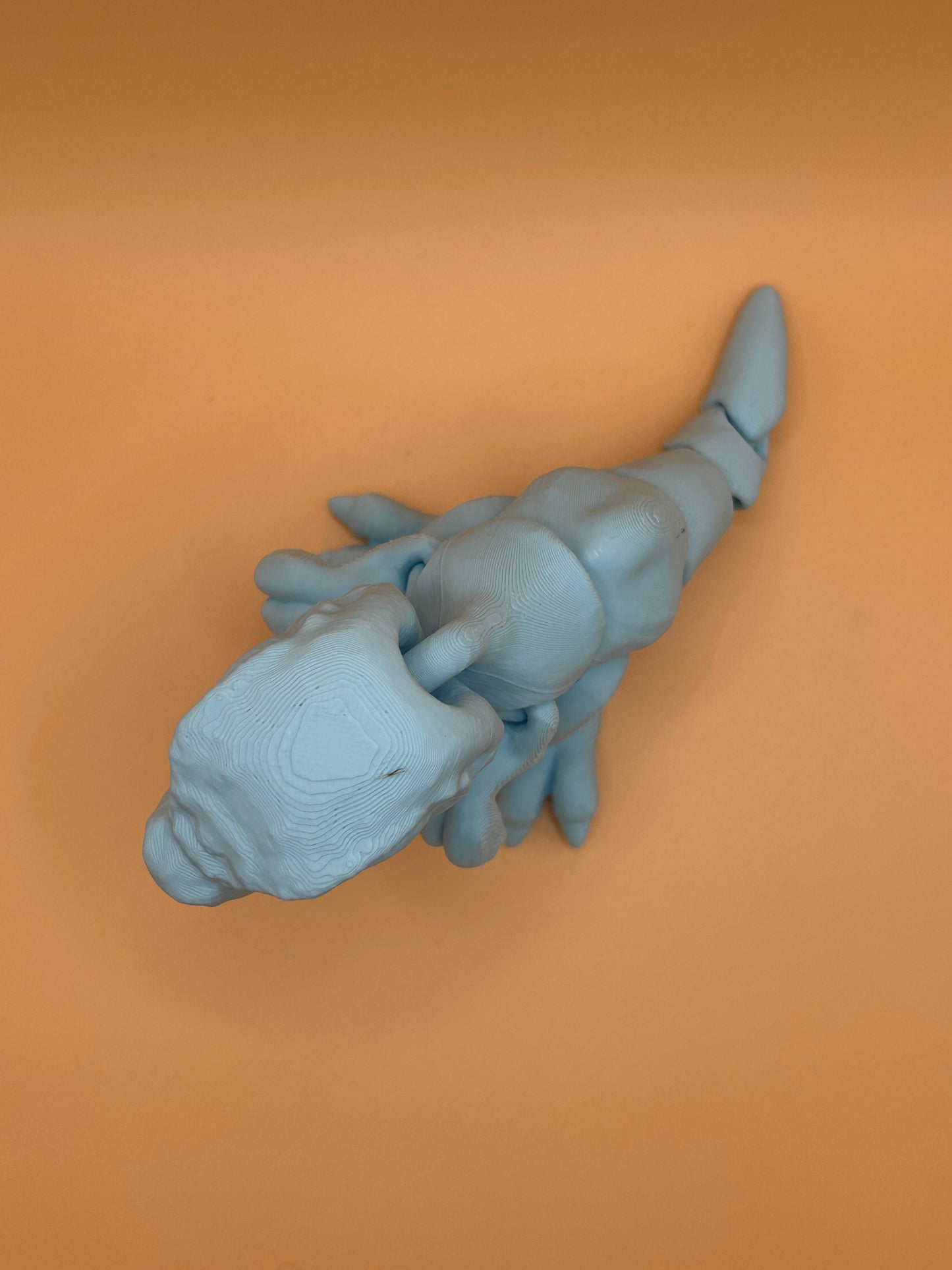 Flexi-Rex