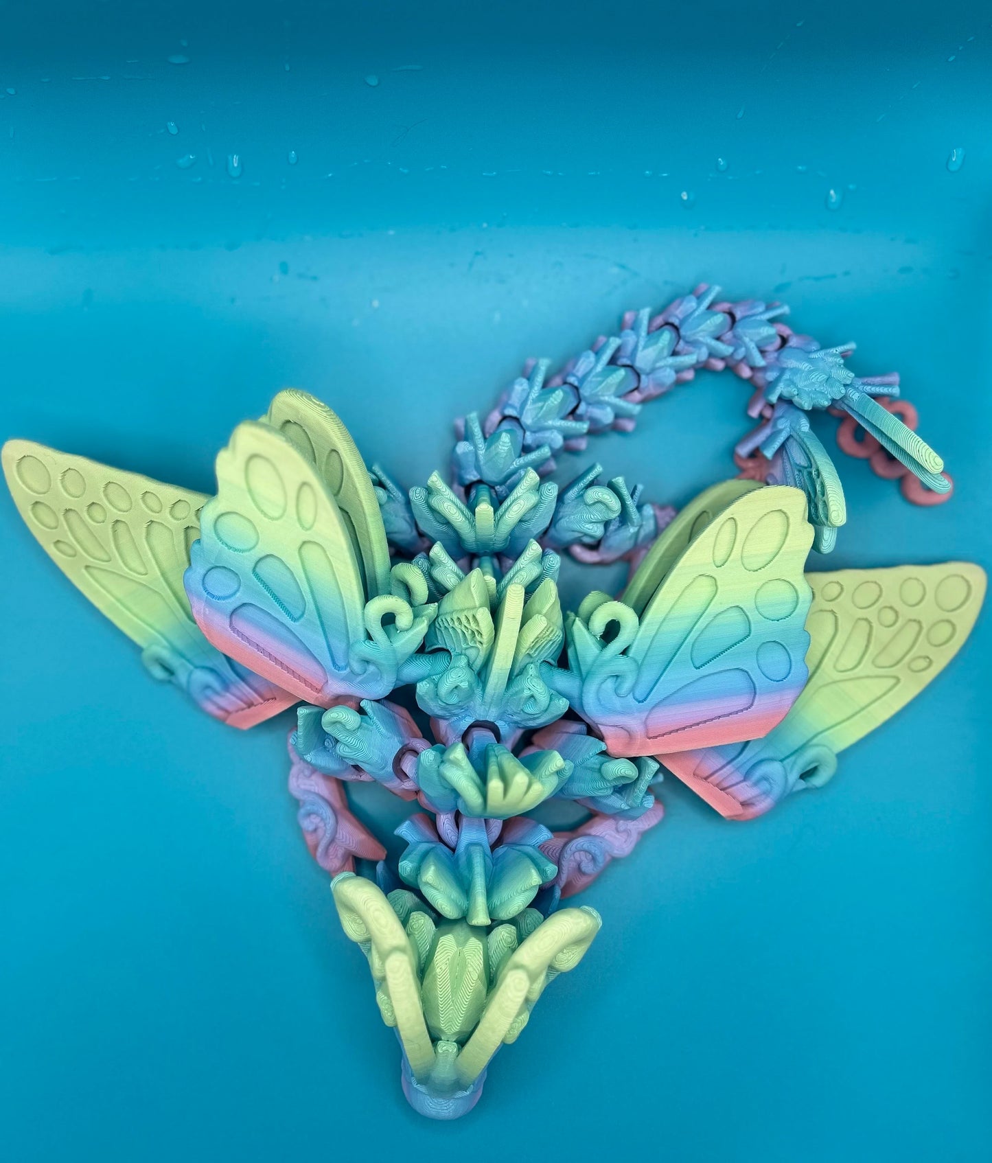 Butterfly Dragon